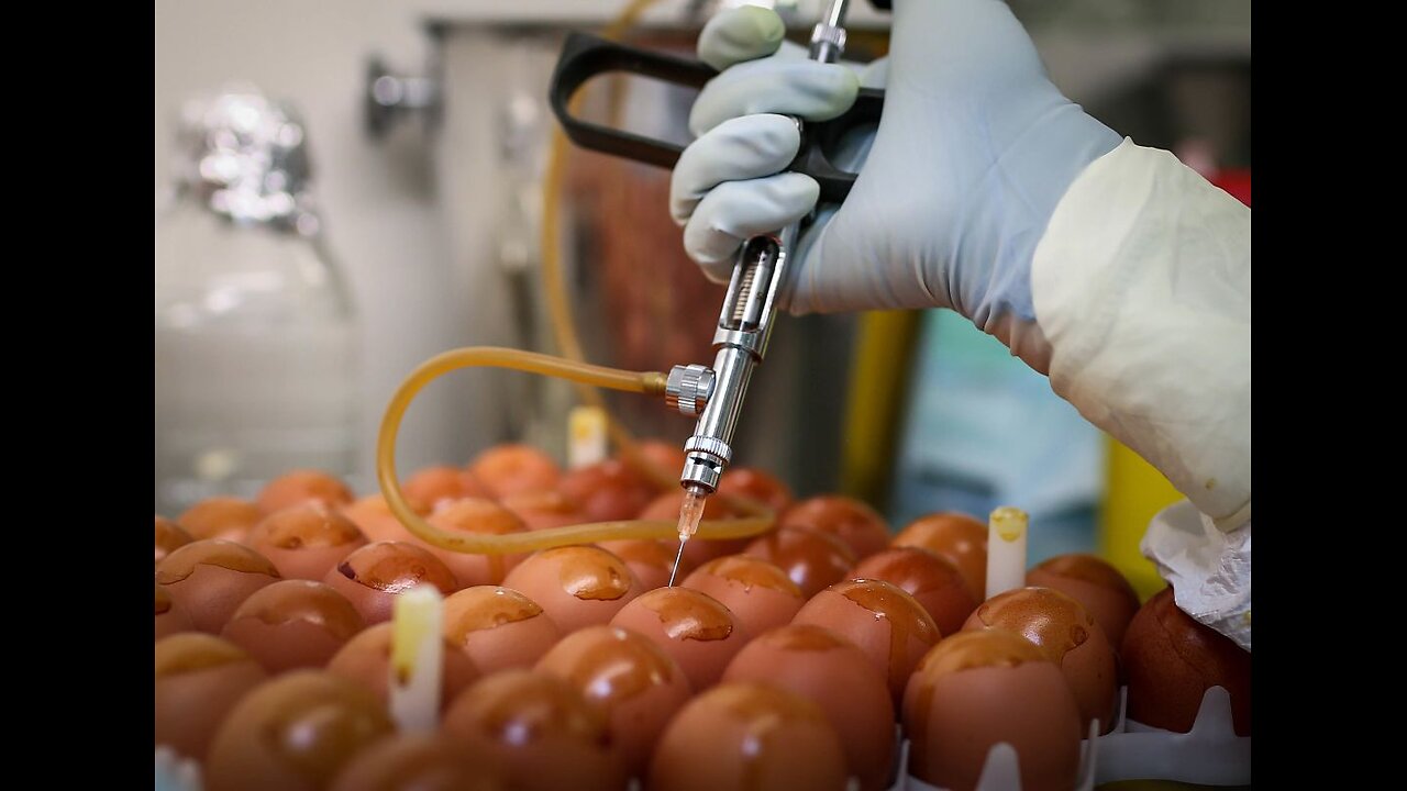 WARNING! TRUMP GIVES BIRD FLU VAXX GOVERNMENT APPROVAL TO GENE EDIT THE CHICKEN AND EGG SUPPLY!