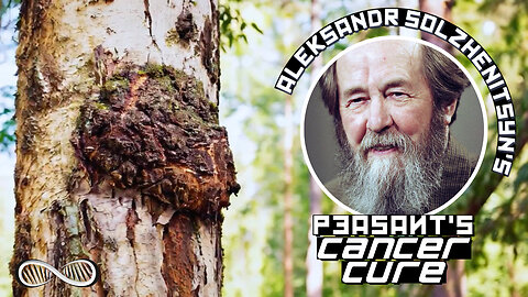 Chaga: Solzhenitsyn's "Peasants Cancer Cure"