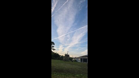 Poisoning Florida skies