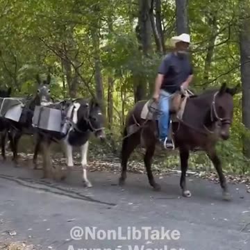 The war on WHITE MEN