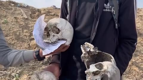 Palestinian youths found skulls of civilians who were killed by the Israeli occupation forces