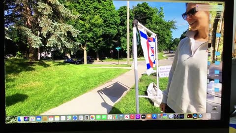 Woman Attempts Theft