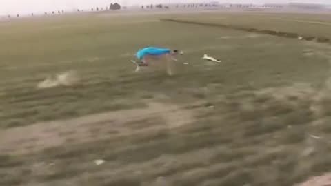 Super Dog