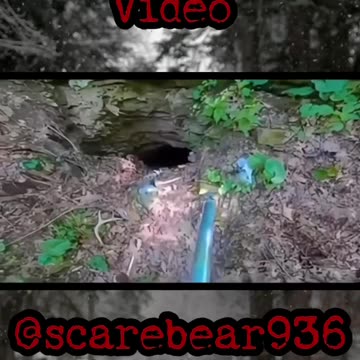 Scary video in the Forest