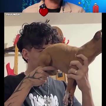 Try Not to Laugh – Unstoppable Laughter Challenge!