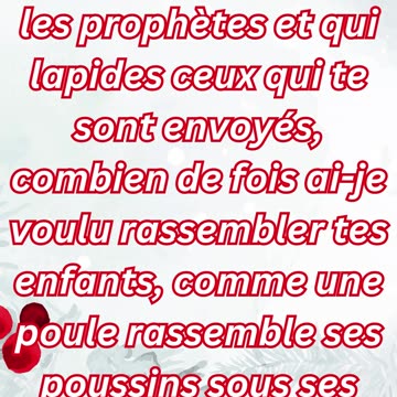 "Jérusalem, Jérusalem : L'Appel de Jésus à la Ville Rebelle" Matthieu 23:37#shorts #youtube #jesus