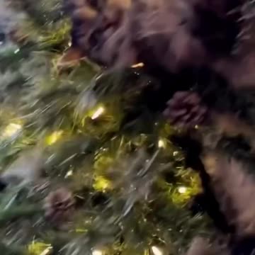 The joy of Christmas