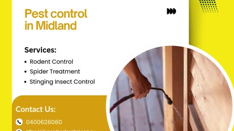 Effective and Reliable Pest Control in Midland for a Pest-Free Home and Business