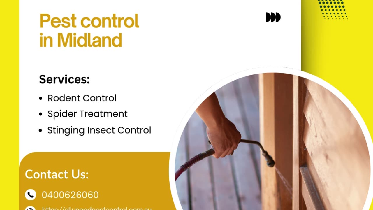 Effective and Reliable Pest Control in Midland for a Pest-Free Home and Business