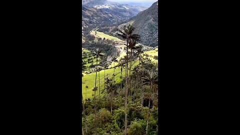 Kokora Valley,Colombia 🇨🇴