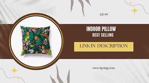 Shop Now Best Selling Indoor Pillow For $27.99 | Click The Link In Description