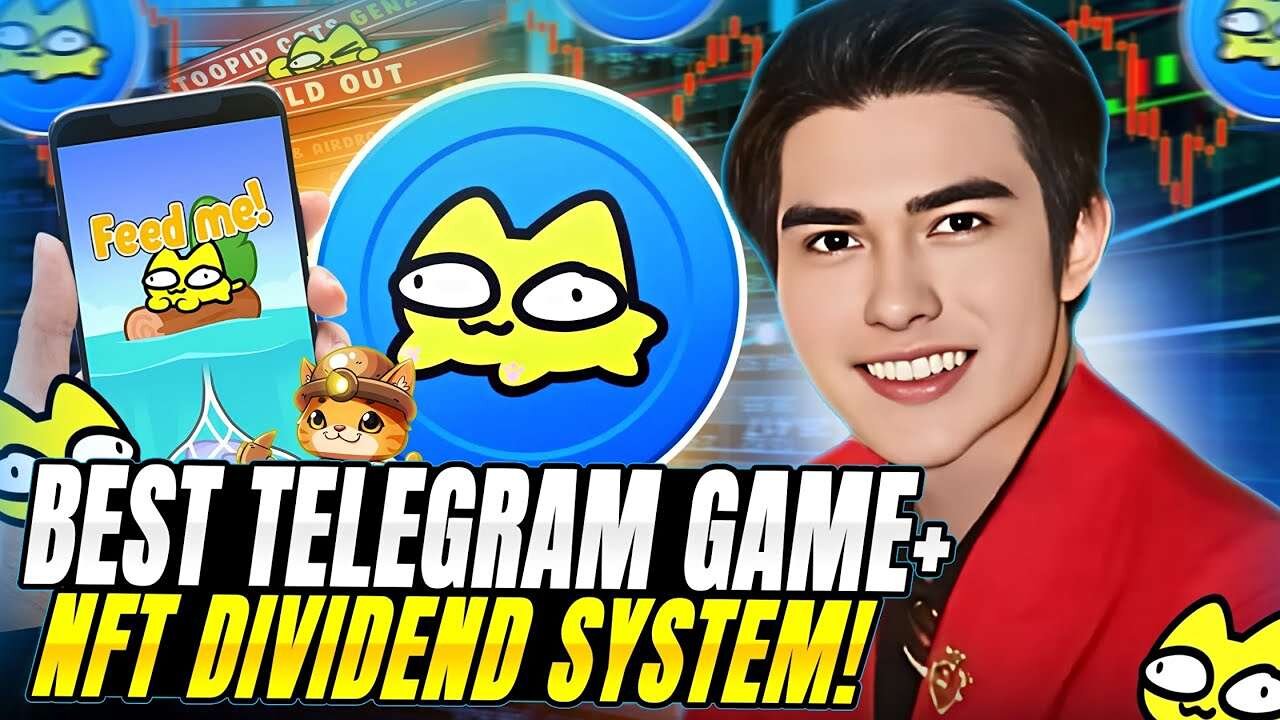 STOOPID CATS NEW PLAY TO EARN TELEGRAM GAME NFT DIVIDEND SYSTEM
