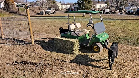 Graham Family Farm: 10:40 AM January 20th 2025