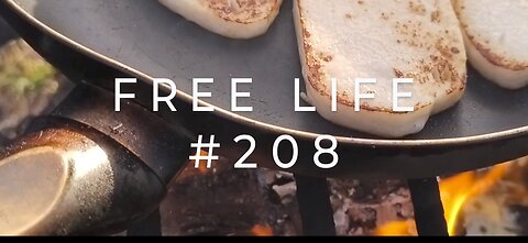 Free Life #208