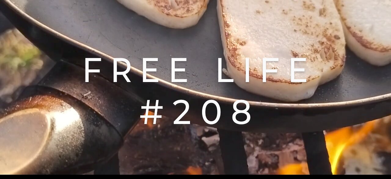 Free Life #208