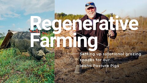 Setting Up Internal Paddocks - Idaho Pasture Pigs - Part 2