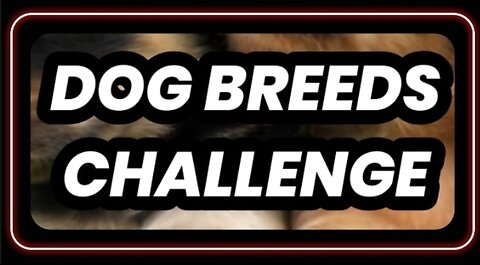 Dog Breeds Challenges