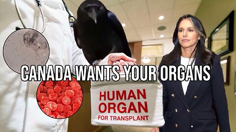 Canada Wants Your Organs | Report