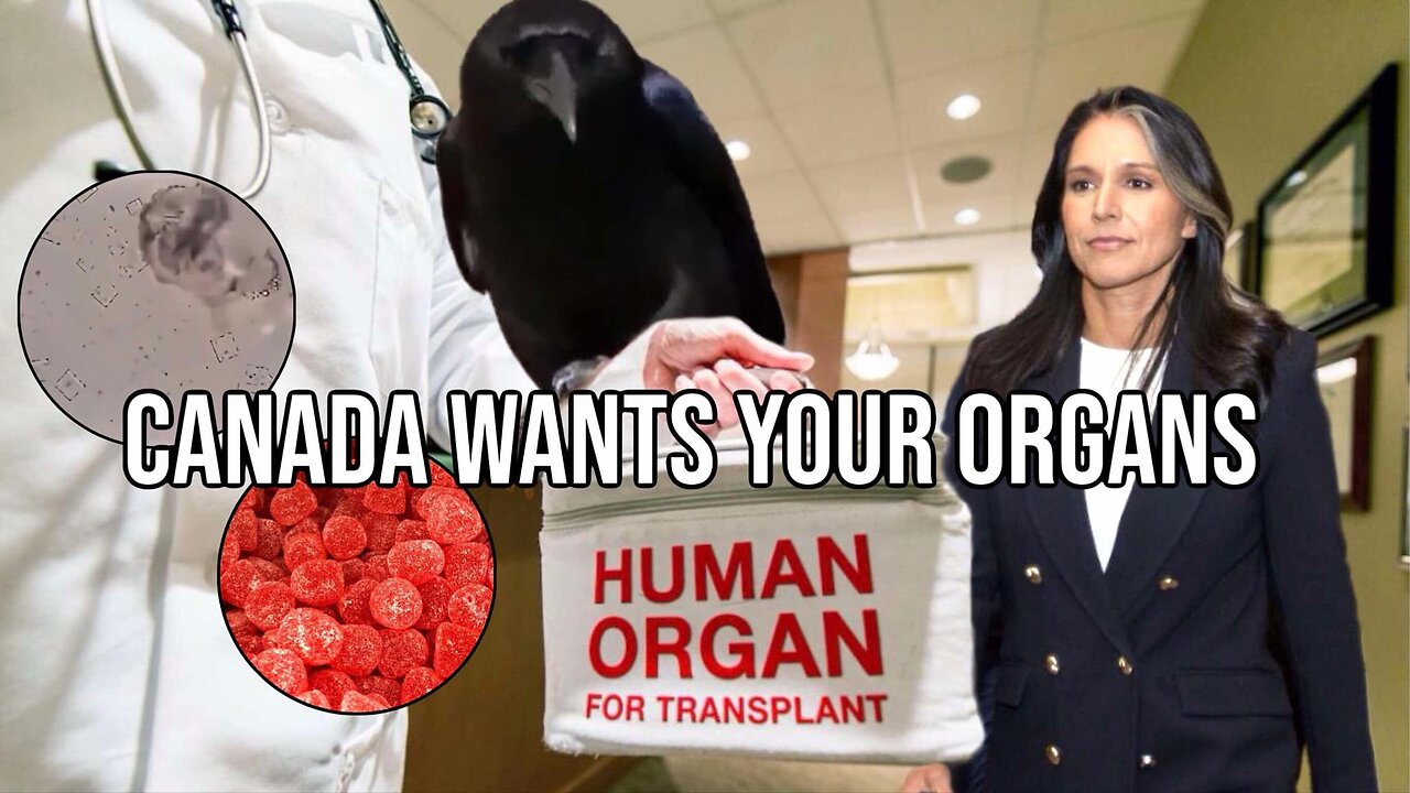 Canada Wants Your Organs | Report