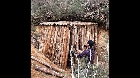 Build shelter and survival camping with my dog