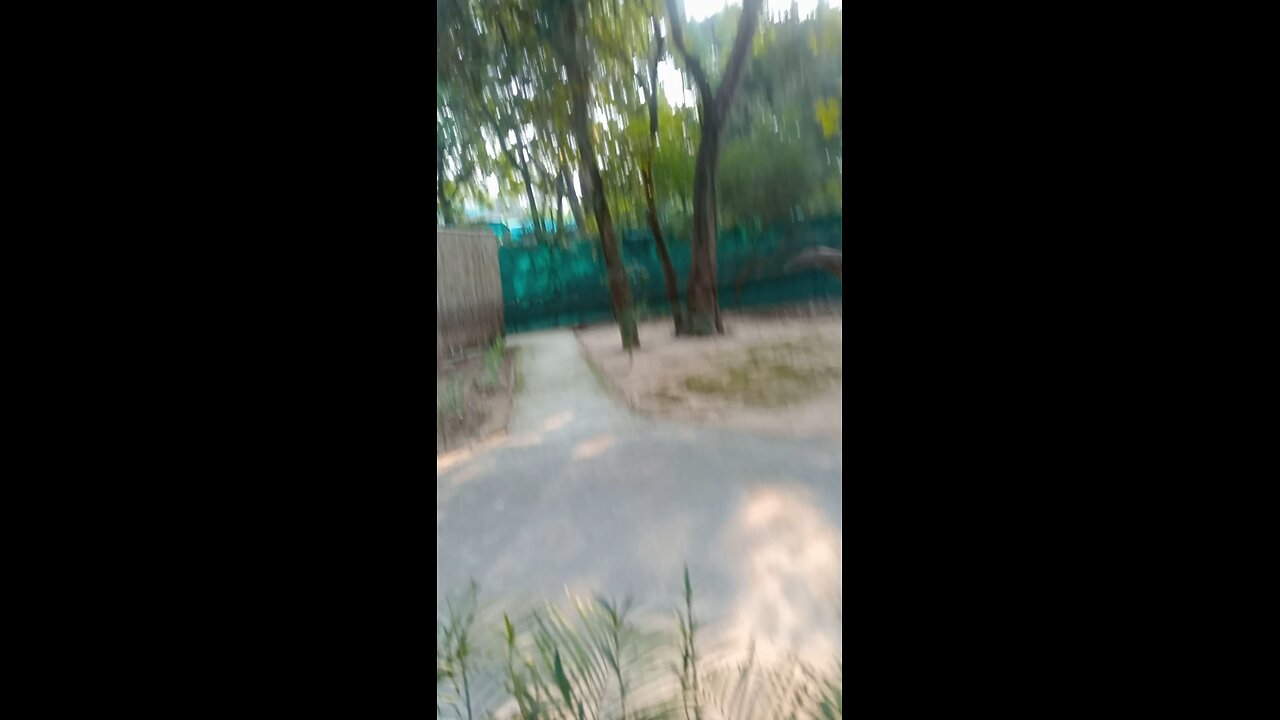 ਡਾਇਨਾਸੋਰ ਹੈਲੋ