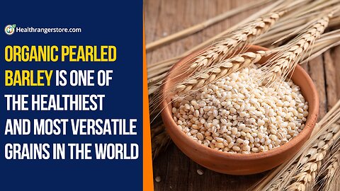 Organic Pearled Barley is one of the healthiest and most versatile grains in the world