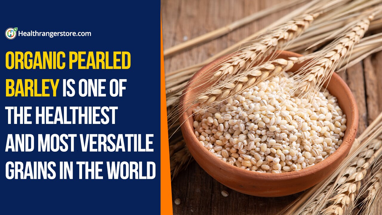 Organic Pearled Barley is one of the healthiest and most versatile grains in the world