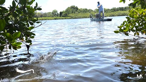 Skipping the Mangroves for BIG Snook and Redfish! - Part 1