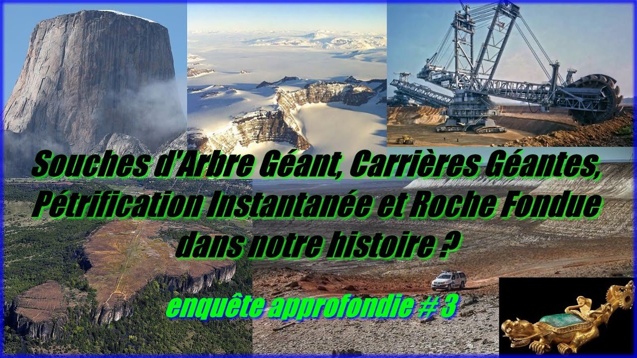 Ceppi d'albero giganti, cave giganti... nella nostra storia? indagine approfondita #3