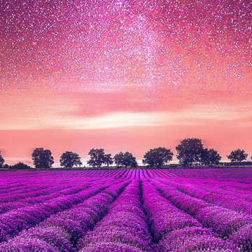 The Easiest Way to Get Rid of Stress | Relaxing Piano Music 🎹