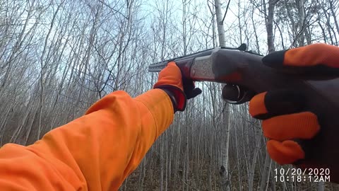 UPLAND COVERS OUTDOORS Episode 7 Grouse Hunting Wisconsin