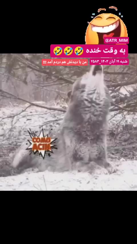 Flow for more videos fanny