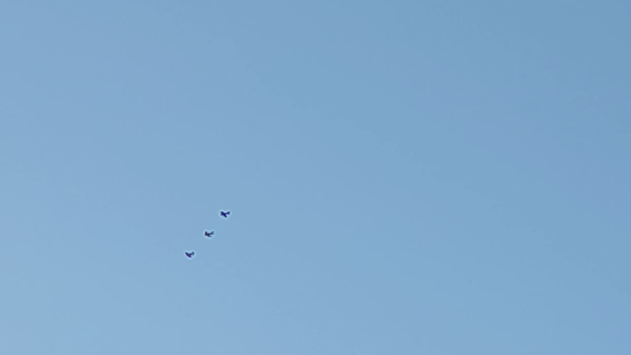 In formation....odd ...