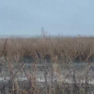 Ukraine war combat footage 12/20/24