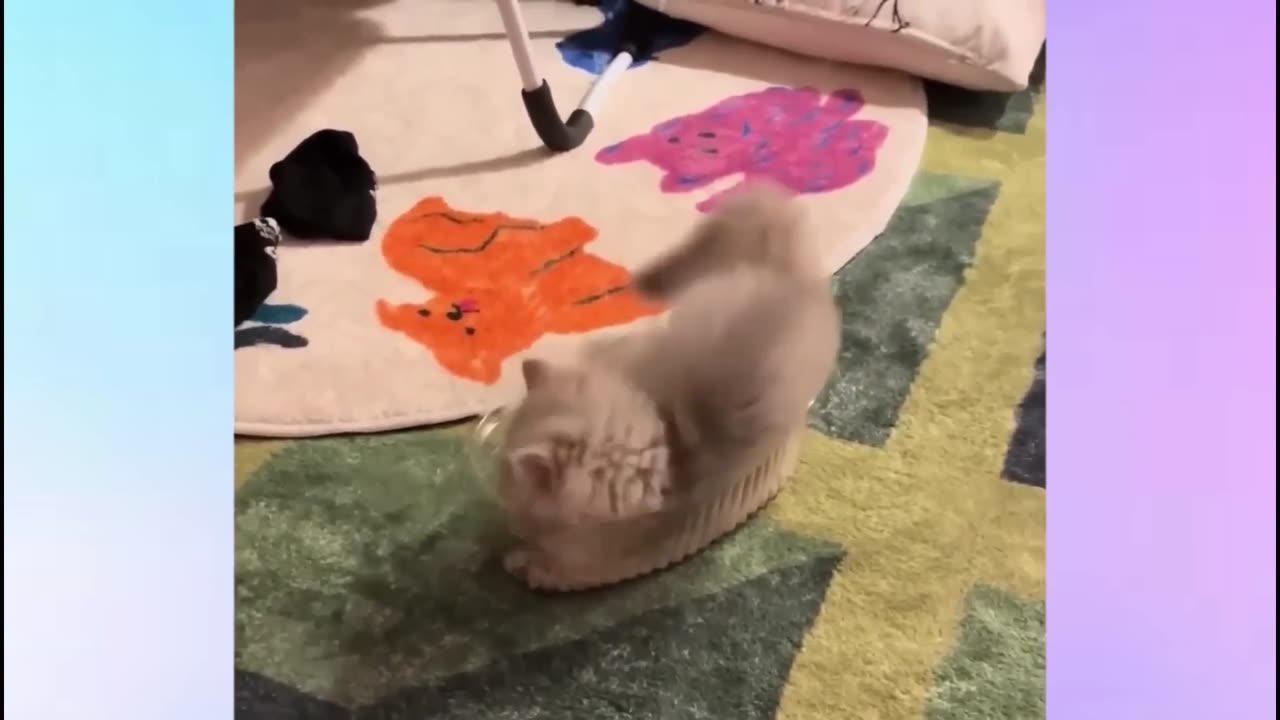 Try not to laugh Pt2