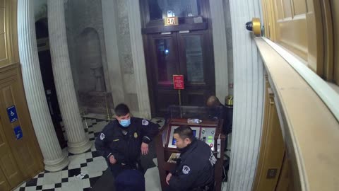0216USCS02UpperSenateDoorInterior_2021-01-06_20h20min03s130ms.mp4