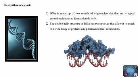 Nucleic Acid Nanosensors