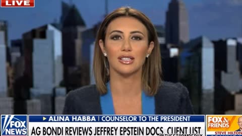 ALL MUST WATCH “Transparency Is Coming… They Don’t Want Anyone to Know Who Was on Epstein’s Island, Who was a Pedo, and Who Is Probably Still Sitting in DC” – Alina Habba on Upcoming Epstein Island Documents Release