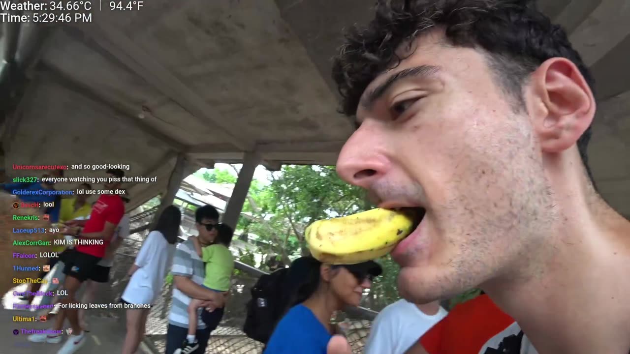 Ice Poseidon Feeds and Kiss A Giraffe | Kick Clips