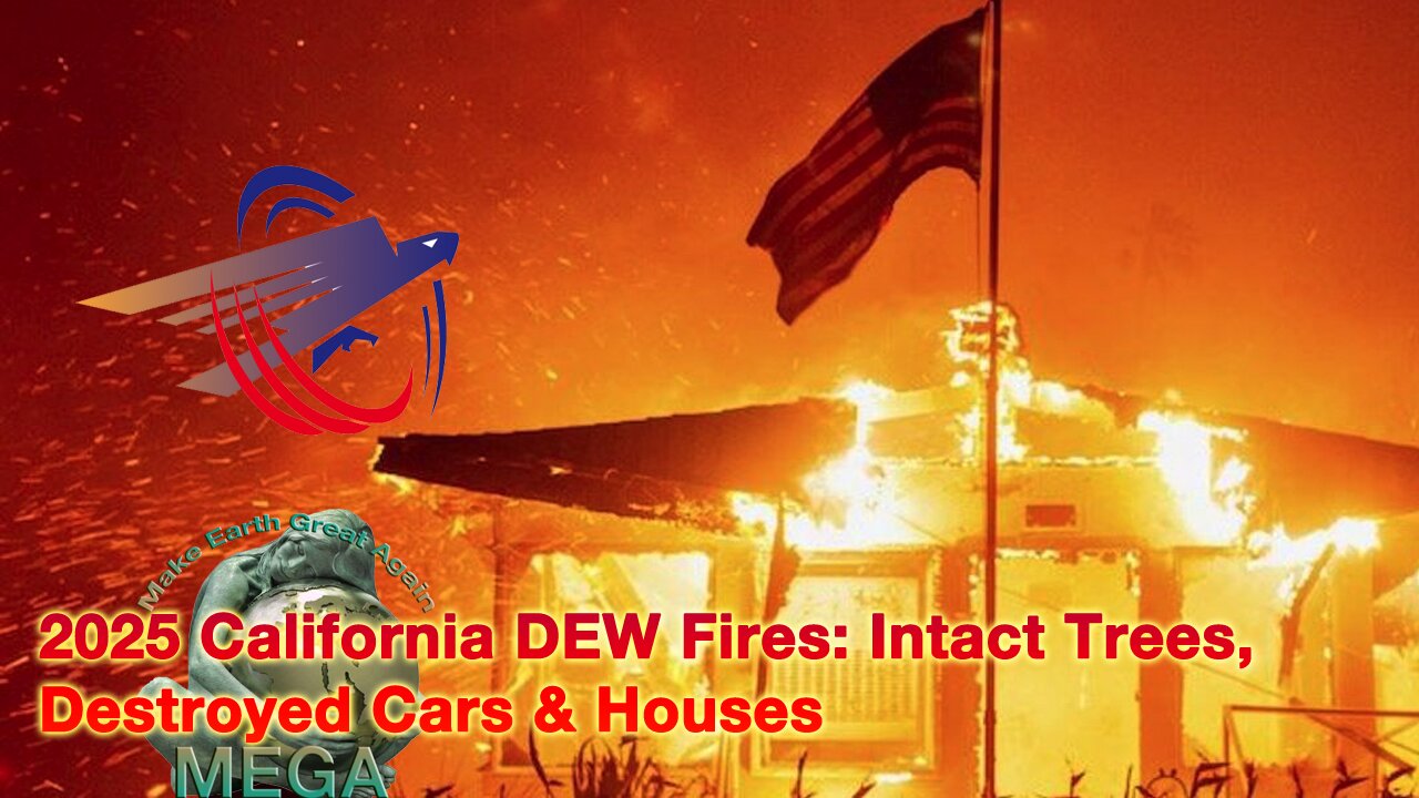 2025 California DEW Fires: Intact Trees, Destroyed Cars & Houses