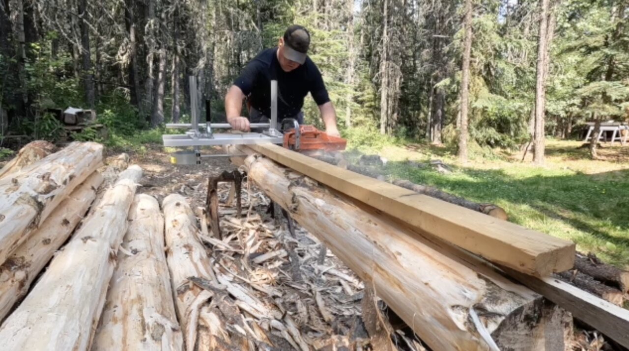 Life at the cabin 2023 July