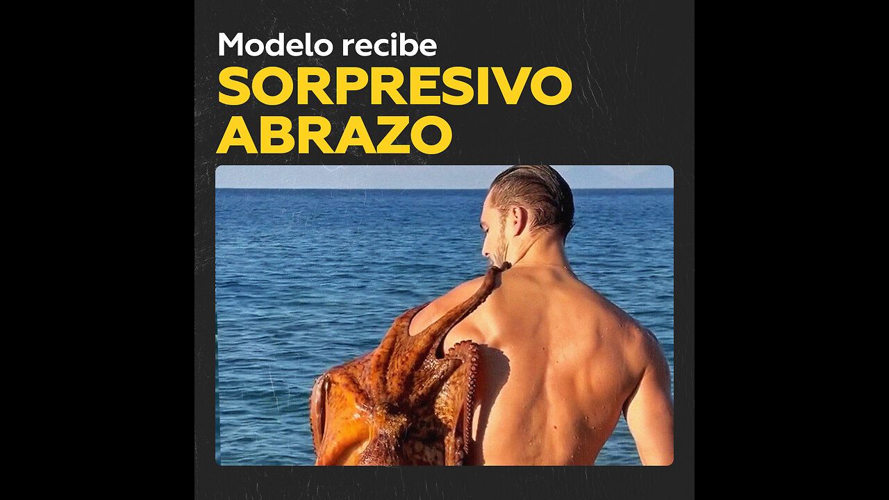 Pulpo cariñoso detiene a modelo en el mar