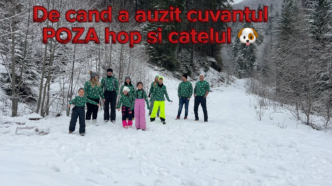 Poza trebuia sa fie despre noi dar cainele a reusit sa capteze toata atentia🐶 #mayanto #family