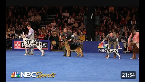 National Dog Show:NBC sports show