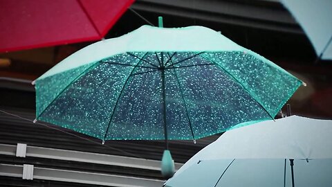 Under the Umbrellas