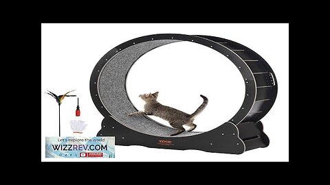 Cat Exercise Wheel 43.3" Large Cat Treadmill Wheel for Indoor Cats Black Review