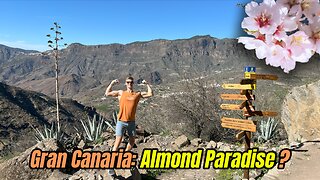 Did You Know Gran Canaria Has an Almond Blossom Wonderland? 🌸✨