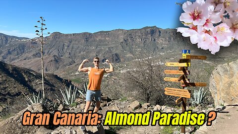 Did You Know Gran Canaria Has an Almond Blossom Wonderland? 🌸✨