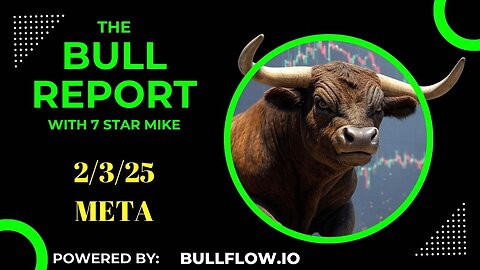 The Bull Report: 2-3-25 Unusual Options Flow - META