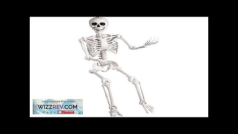 Skeleton Pose And Hold 5 Foot Decoration Review